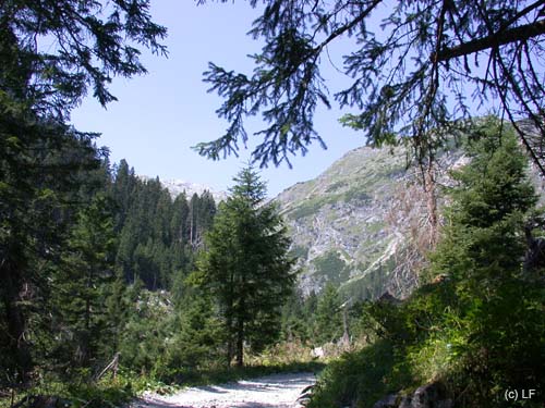 Heilbr-Weg_001