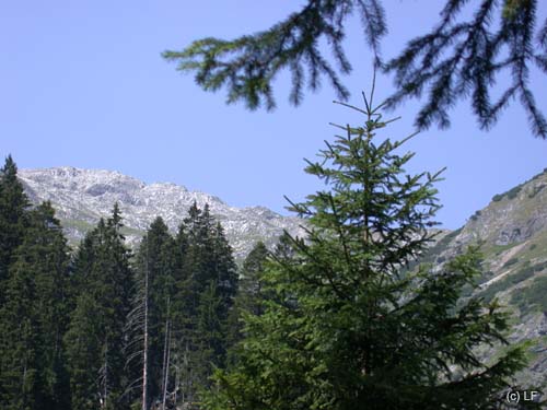 Heilbr-Weg_002