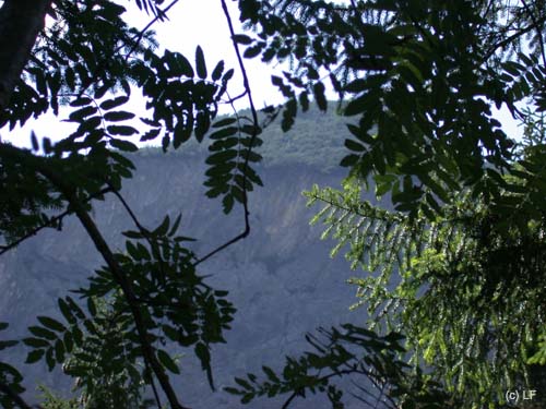 Heilbr-Weg_003
